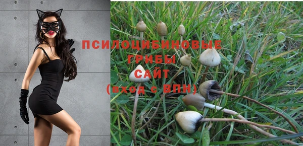МДПВ Навашино