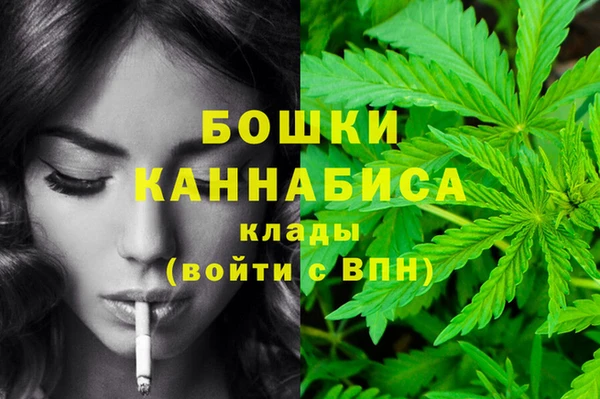 прущие крисы Надым