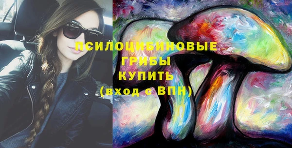 МДПВ Навашино