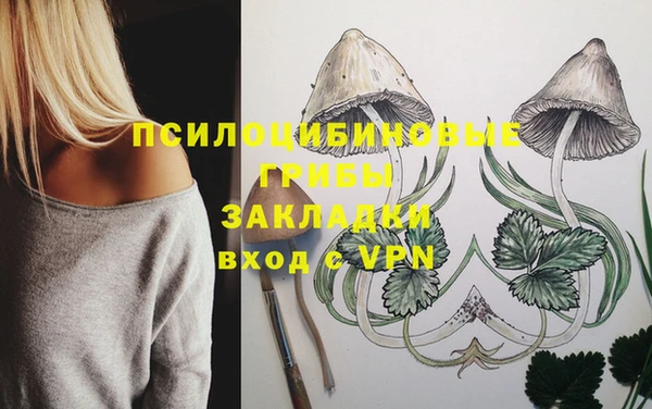 прущие крисы Надым