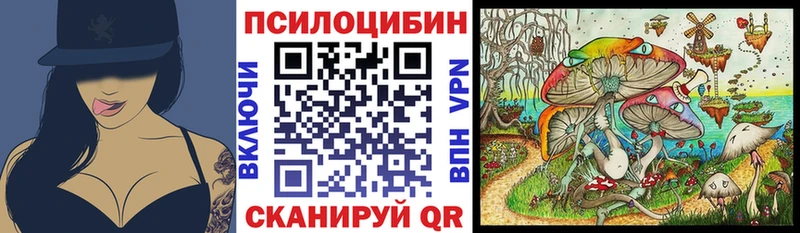 как найти закладки  Новоульяновск  Галлюциногенные грибы MAGIC MUSHROOMS 
